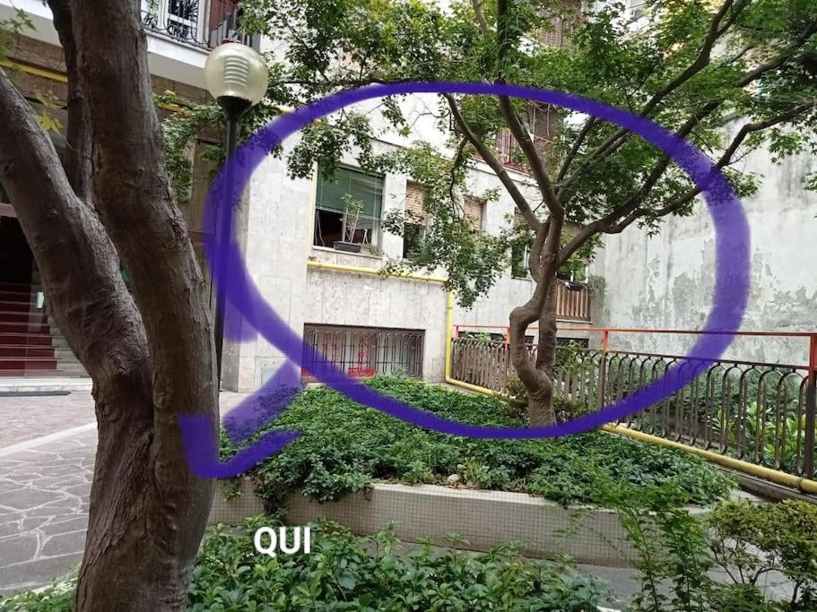 Il Grande Blu Appartement *